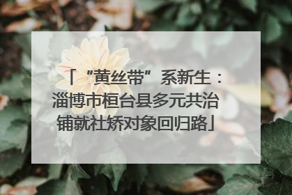 “黄丝带”系新生：淄博市桓台县多元共治铺就社矫对象回归路