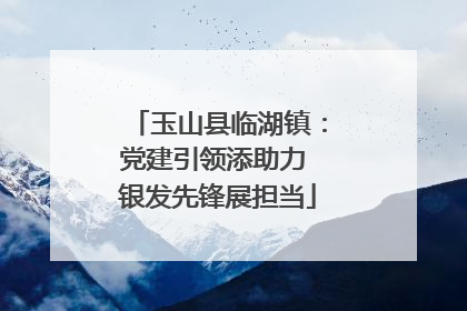 玉山县临湖镇：党建引领添助力 银发先锋展担当