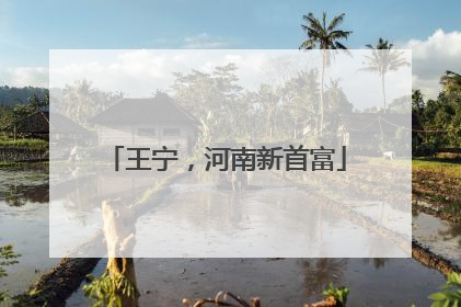 王宁，河南新首富