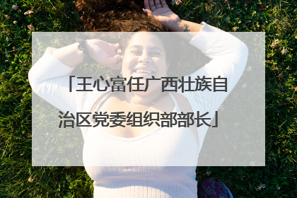 王心富任广西壮族自治区党委组织部部长