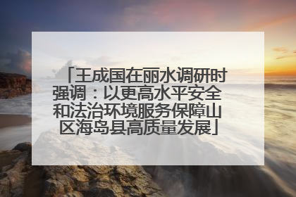王成国在丽水调研时强调：以更高水平安全和法治环境服务保障山区海岛县高质量发展