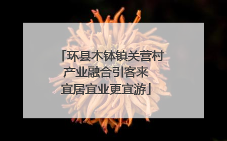 环县木钵镇关营村 产业融合引客来 宜居宜业更宜游