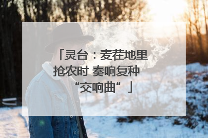 灵台：麦茬地里抢农时 奏响复种“交响曲”
