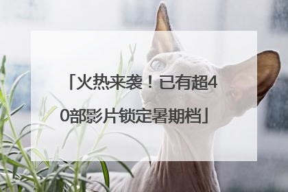 火热来袭！已有超40部影片锁定暑期档