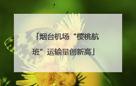 烟台机场“樱桃航班”运输量创新高