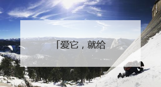 爱它，就给它自由！