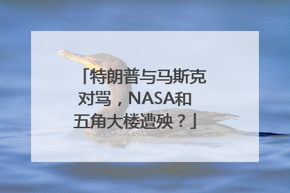 特朗普与马斯克对骂，NASA和五角大楼遭殃？