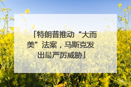 特朗普推动“大而美”法案，马斯克发出最严厉威胁