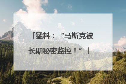 猛料：“马斯克被长期秘密监控！”