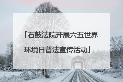 石鼓法院开展六五世界环境日普法宣传活动