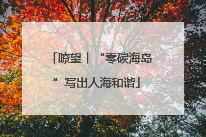 瞭望丨“零碳海岛”写出人海和谐