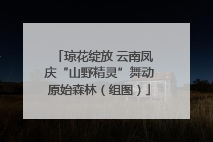 琼花绽放 云南凤庆“山野精灵”舞动原始森林（组图）