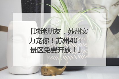 球迷朋友，苏州实力宠你！苏州40+景区免费开放！