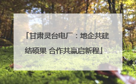 甘肃灵台电厂：地企共建结硕果 合作共赢启新程