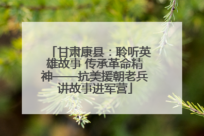 甘肃康县：聆听英雄故事 传承革命精神——抗美援朝老兵讲故事进军营