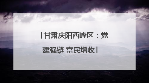 甘肃庆阳西峰区：党建强链 富民增收