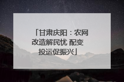 甘肃庆阳：农网改造解民忧 配变投运促振兴