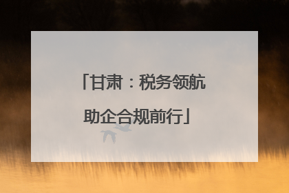 甘肃：税务领航 助企合规前行