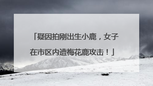 疑因拍刚出生小鹿，女子在市区内遭梅花鹿攻击！