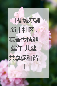 盐城亭湖新丰社区：粽香传情迎端午 共建共享促和谐