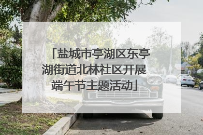 盐城市亭湖区东亭湖街道北林社区开展端午节主题活动