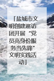 盐城市文明创建巡访团开展“党员亮身份服务当先锋”文明实践活动