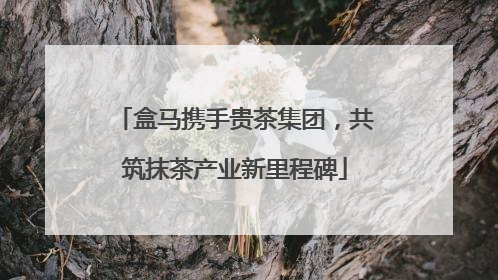 盒马携手贵茶集团，共筑抹茶产业新里程碑