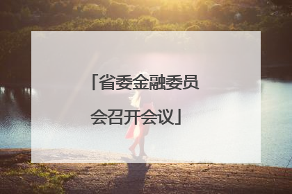 省委金融委员会召开会议