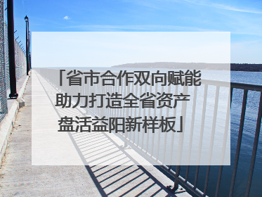 省市合作双向赋能 助力打造全省资产盘活益阳新样板