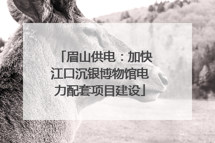 眉山供电：加快江口沉银博物馆电力配套项目建设