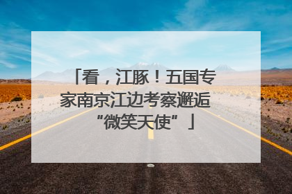 看，江豚！五国专家南京江边考察邂逅“微笑天使”
