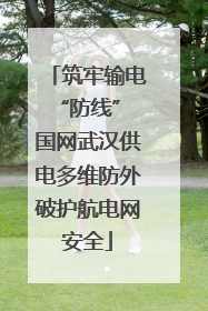 筑牢输电“防线” 国网武汉供电多维防外破护航电网安全
