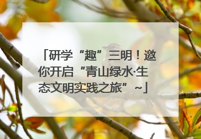 研学“趣”三明！邀你开启“青山绿水·生态文明实践之旅”~