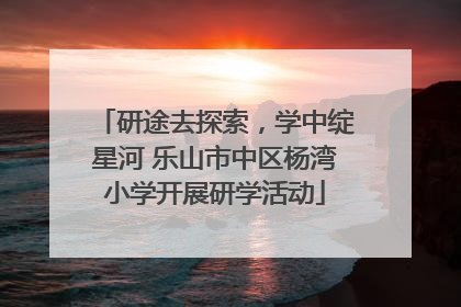 研途去探索，学中绽星河 乐山市中区杨湾小学开展研学活动