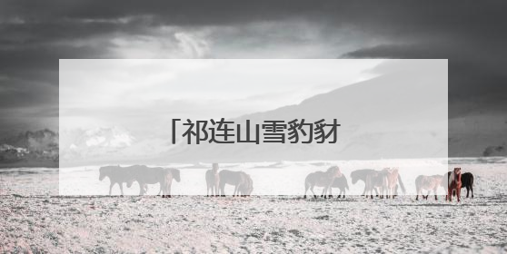 祁连山雪豹豺狼同框现身