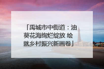禹城市中街道：油葵花海绚烂绽放 绘就乡村振兴新画卷