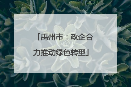 禹州市：政企合力推动绿色转型