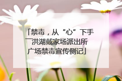 禁毒，从“心”下手――洪湖戴家场派出所广场禁毒宣传侧记