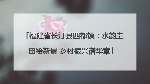 福建省长汀县四都镇：水韵圭田绘新景 乡村振兴谱华章