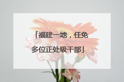 福建一地，任免多位正处级干部