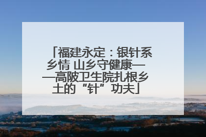 福建永定：银针系乡情 山乡守健康——高陂卫生院扎根乡土的“针”功夫
