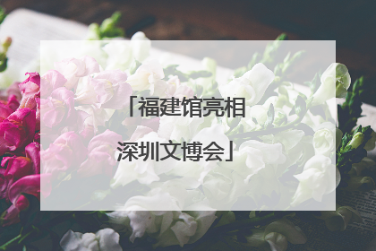 福建馆亮相深圳文博会
