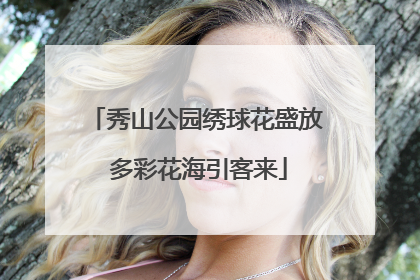 秀山公园绣球花盛放 多彩花海引客来