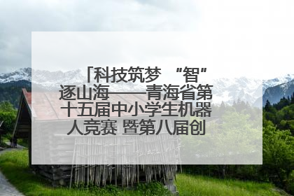 科技筑梦 “智”逐山海——青海省第十五届中小学生机器人竞赛 暨第八届创新设计大赛见闻