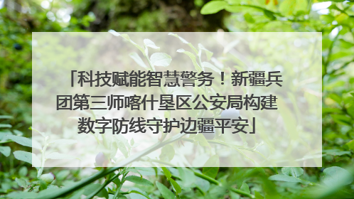 科技赋能智慧警务！新疆兵团第三师喀什垦区公安局构建数字防线守护边疆平安