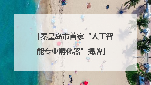 秦皇岛市首家“人工智能专业孵化器”揭牌