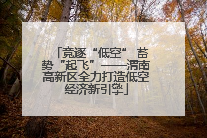 竞逐“低空” 蓄势“起飞”——渭南高新区全力打造低空经济新引擎