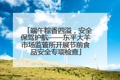 端午粽香四溢，安全保驾护航——东平大羊市场监管所开展节前食品安全专项检查