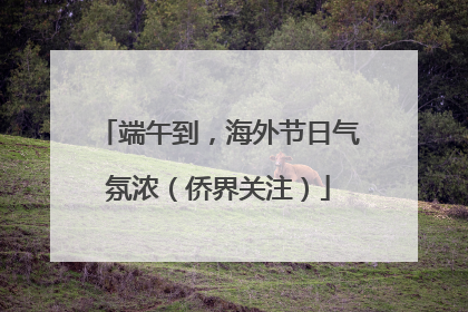 端午到，海外节日气氛浓（侨界关注）