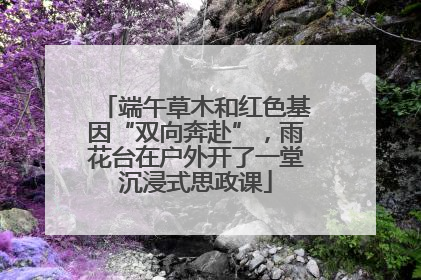 端午草木和红色基因“双向奔赴”，雨花台在户外开了一堂沉浸式思政课